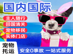 景德镇罗家航空物流国际宠物托运 【国